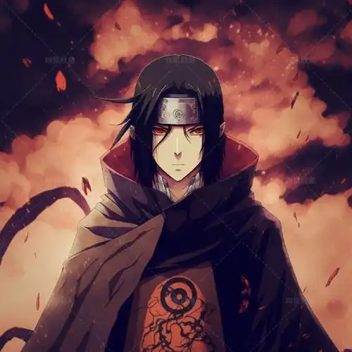 海贼王路飞五档